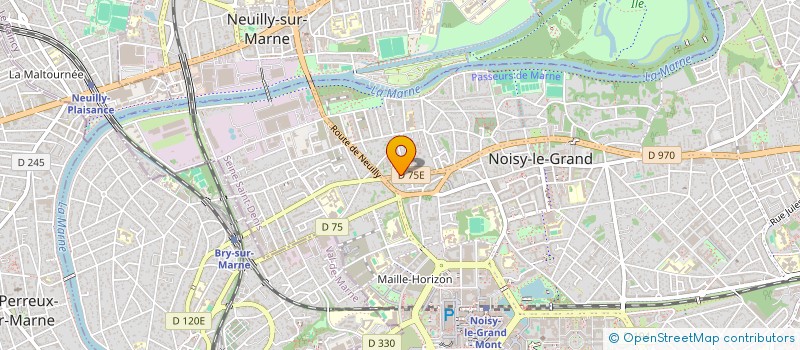 localisation de l'entreprise MADAME YAMINA SAYDI  NOISY-LE-GRAND