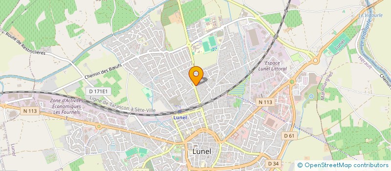 localisation de l'entreprise MADAME YAN ZHEN WANG  LUNEL