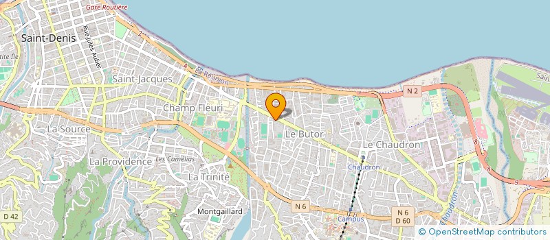 localisation de l'entreprise MADAME YAN ZHONG  SAINT-DENIS