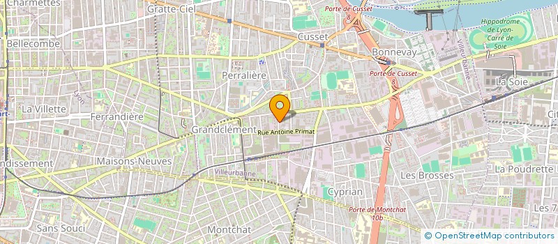 localisation de l'entreprise MADAME YARA DOUMIT  VILLEURBANNE