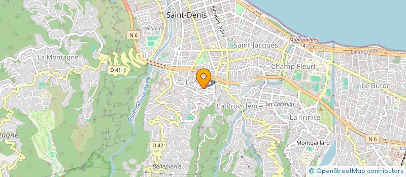 localisation de l'entreprise MADAME YASMEEN AULEEAR  SAINT-DENIS