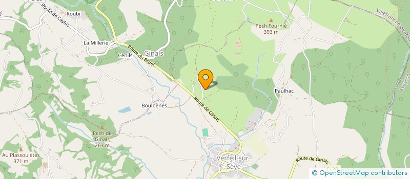 localisation de l'entreprise MADAME YASMINA BOUDEGUIG  VERFEIL