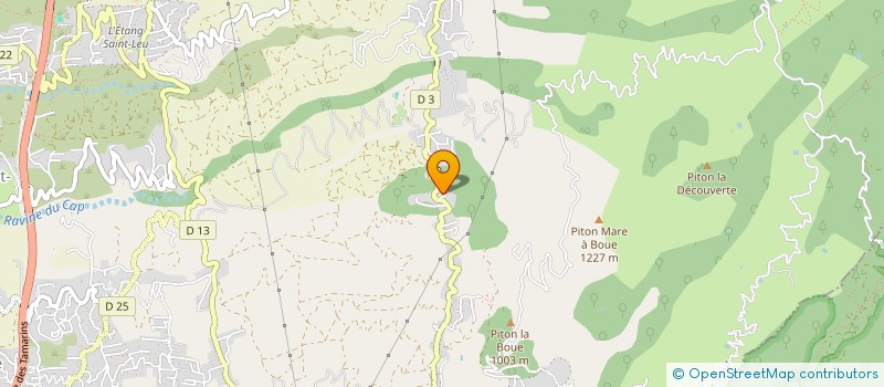 localisation de l'entreprise MADAME YASMINA EL MALKI  SAINT-LEU