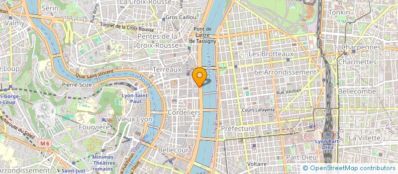 localisation de l'entreprise MADAME YASMINA LAIDOUNI à LYON