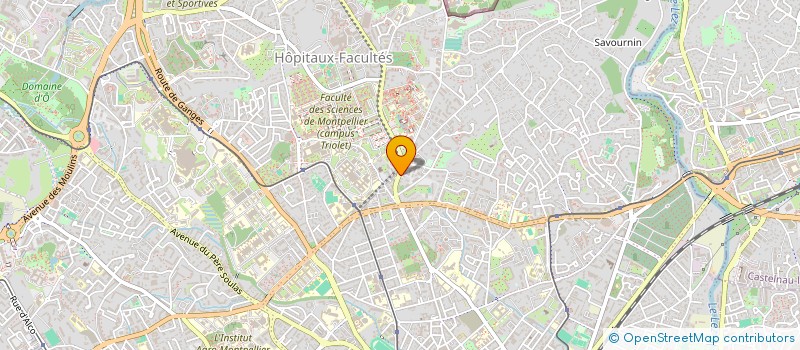 localisation de l'entreprise MADAME YASMINA OUGUERGOUZ à MONTPELLIER