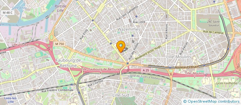 localisation de l'entreprise MADAME YASMINA SOUFI à LILLE