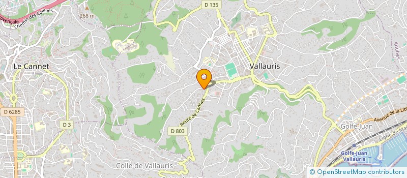 localisation de l'entreprise MADAME YASMINE BEN SEDDIK  VALLAURIS