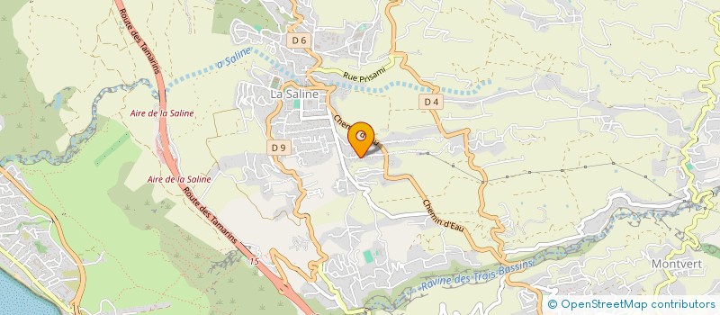 localisation de l'entreprise MADAME YASMINE HOUMADI  SAINT-PAUL