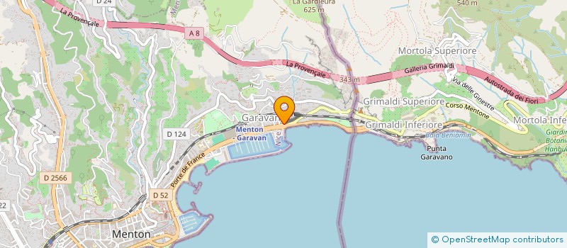 localisation de l'entreprise MADAME YELYZAVETA CHEPKASOVA à MENTON