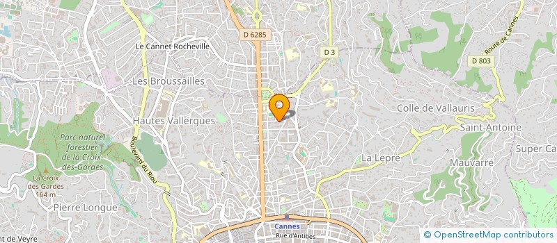 localisation de l'entreprise MADAME YELYZAVETA STEPANETS à CANNES