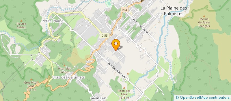 localisation de l'entreprise MADAME YEMIMA ARGINTHE  LA PLAINE-DES-PALMISTES