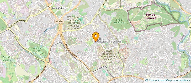 localisation de l'entreprise MADAME YIHUA ZHANG à MONTPELLIER