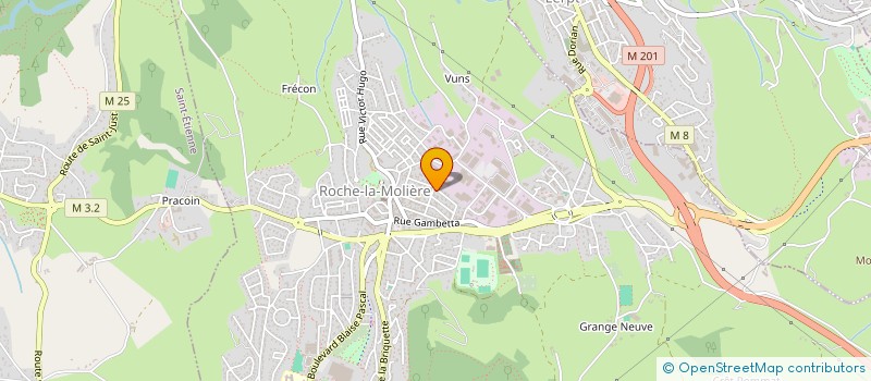 localisation de l'entreprise MADAME YING SUN  ROCHE-LA-MOLIERE