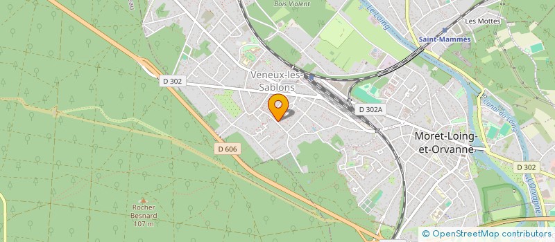 localisation de l'entreprise MADAME YOANA OLIVARES AREVALO  MORET-LOING-ET-ORVANNE