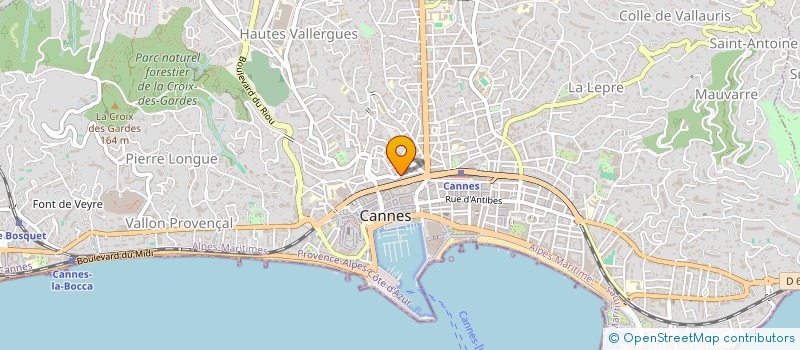 localisation de l'entreprise MADAME YOLANDA LUAP à CANNES