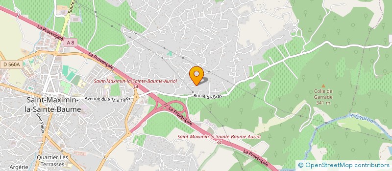 localisation de l'entreprise MADAME YOLANDE BOURGOUDJIAN à SAINT-MAXIMIN-LA-SAINTE-BAUME