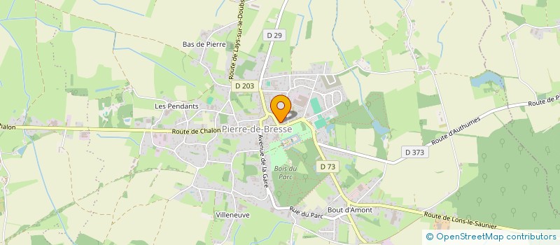 localisation de l'entreprise MADAME YOLANDE CHATEAU  PIERRE-DE-BRESSE