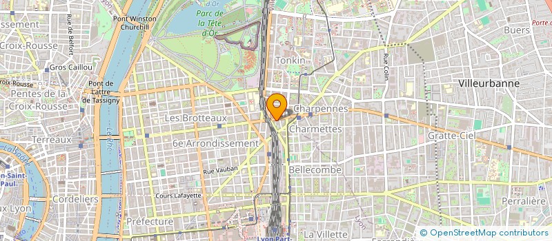 localisation de l'entreprise MADAME YOLANDE FARIAS  LYON