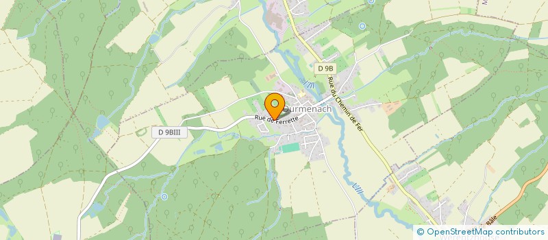 localisation de l'entreprise MADAME YOLANDE GRIENENBERGER  VIEUX-FERRETTE