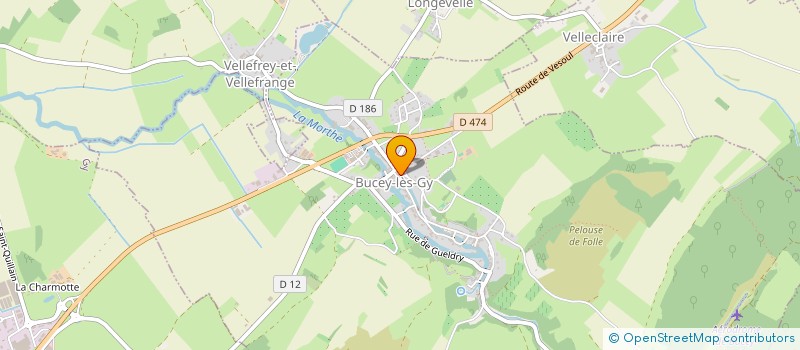 localisation de l'entreprise MADAME YOLANDE MAGNIN à BUCEY-LES-GY