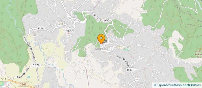 localisation de l'entreprise MADAME YOLANDE VILES  MONTAUROUX