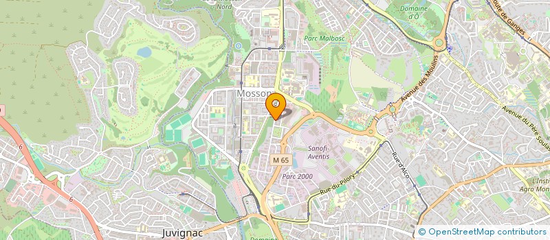 localisation de l'entreprise MADAME YOUSRA EL MANSSOURI à MONTPELLIER