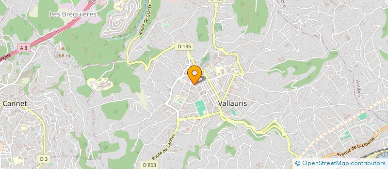 localisation de l'entreprise MADAME YOUSRA GHARBI  VALLAURIS