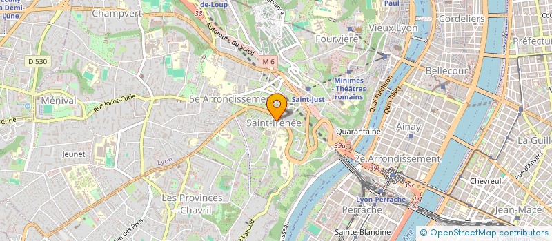 localisation de l'entreprise MADAME YOUSRA MOUMOUH FOULKANE  LYON