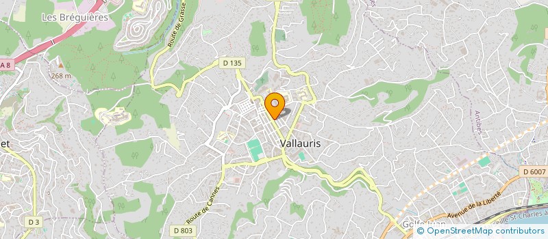 localisation de l'entreprise MADAME YOUSRA OUALI  VALLAURIS