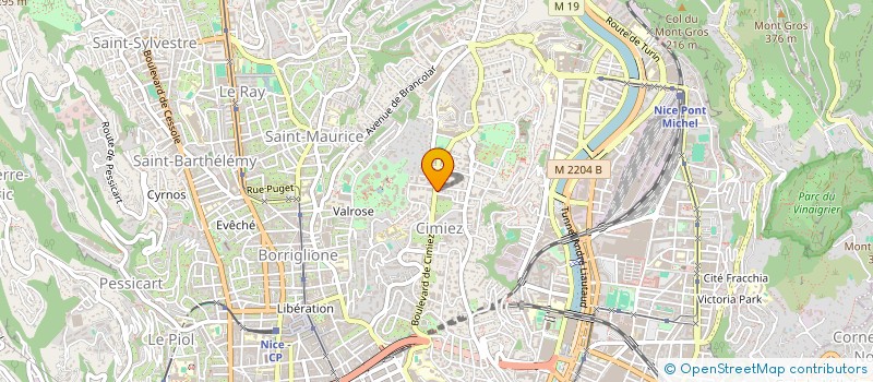 localisation de l'entreprise MADAME YULIA ARTYUSHKINA  NICE