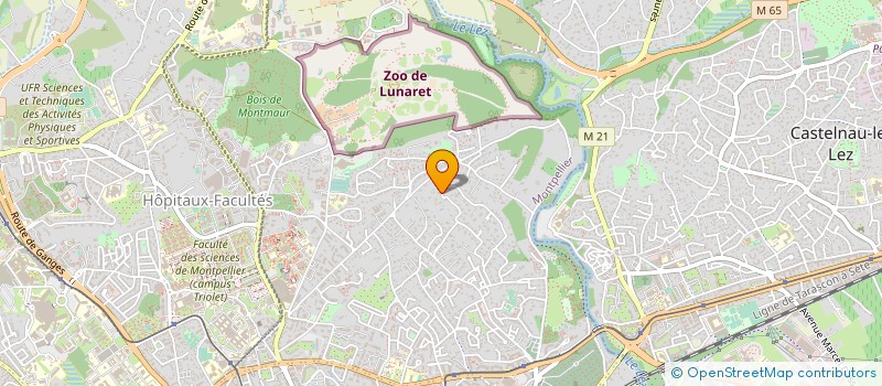 localisation de l'entreprise MADAME YULIA MEZENTSEVA à MONTPELLIER