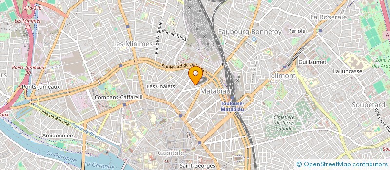 localisation de l'entreprise MADAME YULIA RACHKOVA  TOULOUSE