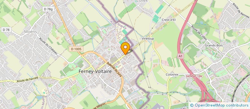 localisation de l'entreprise MADAME YULIIA PRIANICHKINA à FERNEY-VOLTAIRE