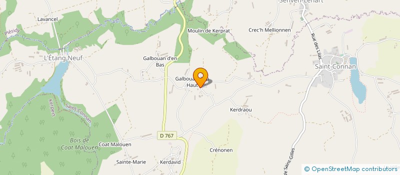 localisation de l'entreprise MADAME YVELINE MARTIN à SAINT-CONNAN