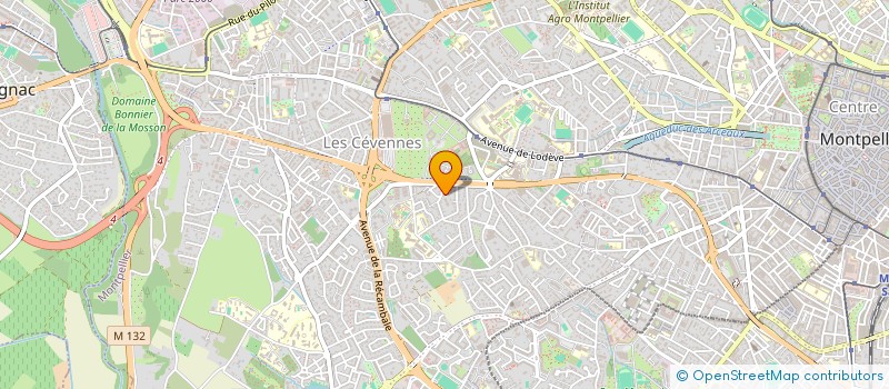 localisation de l'entreprise MADAME YVELISE SALOM à MONTPELLIER