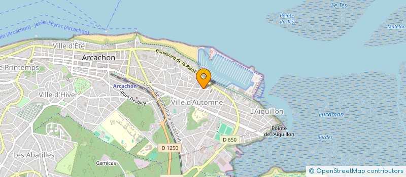 localisation de l'entreprise MADAME YVETTE ABBADIE  ARCACHON