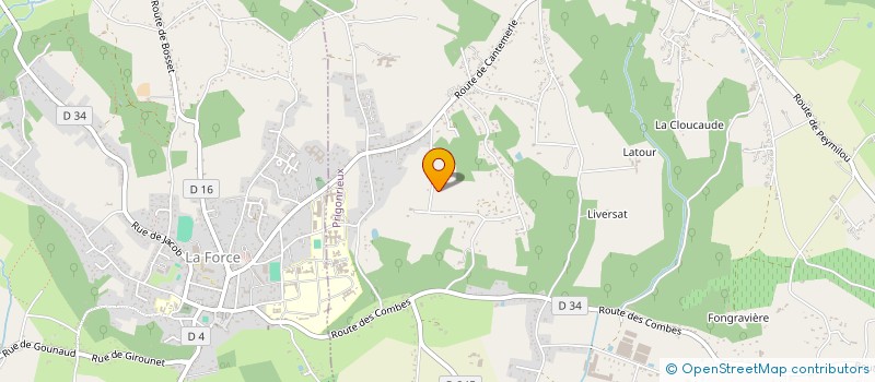 localisation de l'entreprise MADAME YVETTE BARDOU  LA FORCE