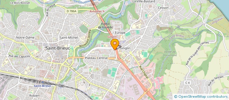 localisation de l'entreprise MADAME YVETTE BIZIMANA à SAINT-BRIEUC