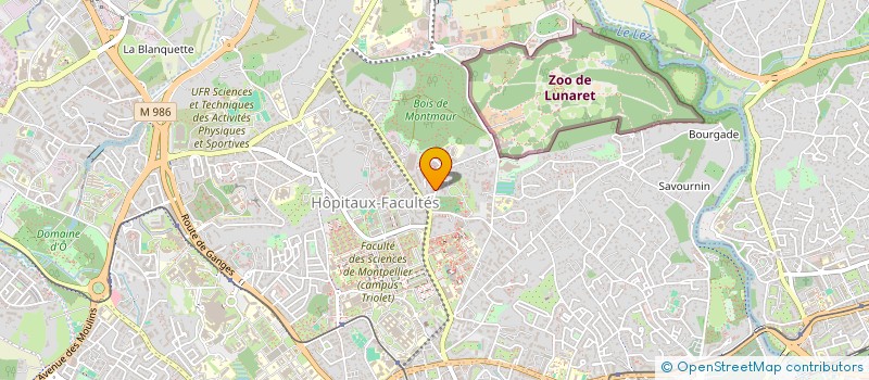localisation de l'entreprise MADAME YVETTE CAPORICCIO à MONTPELLIER