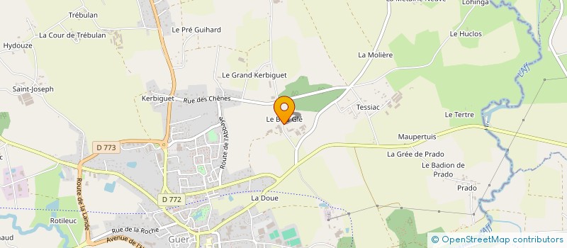 localisation de l'entreprise MADAME YVETTE CHENURIO  GUER