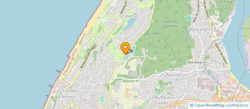 localisation de l'entreprise MADAME YVETTE DAUMARD  ANGLET