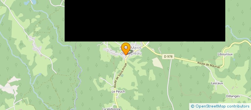 localisation de l'entreprise MADAME YVETTE GREZE  LAFAGE-SUR-SOMBRE