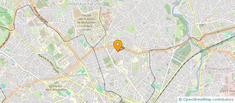 localisation de l'entreprise MADAME YVETTE LAPLACE à MONTPELLIER
