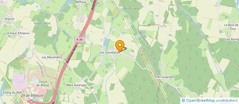 localisation de l'entreprise MADAME YVETTE MAZOYER  MIROIR (LE)