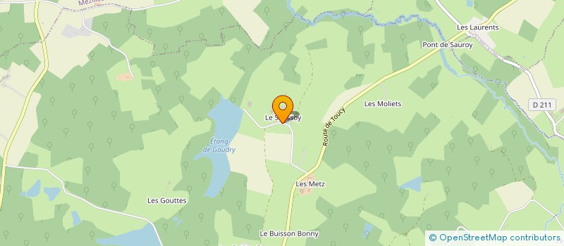 localisation de l'entreprise MADAME YVETTE TRUFFY  SAINT-SAUVEUR-EN-PUISAYE