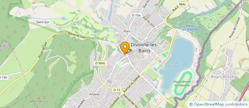 localisation de l'entreprise MADAME YVETTE VOIGNIER à DIVONNE-LES-BAINS
