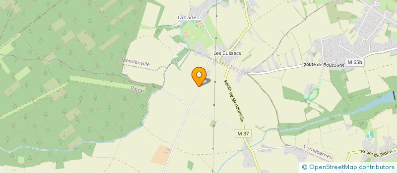 localisation de l'entreprise MADAME YVONNE ANGLOSSE  PIBRAC