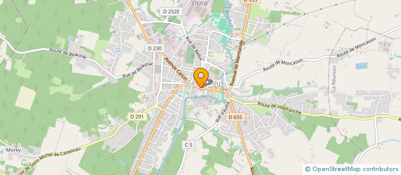 localisation de l'entreprise MADAME YVONNE BODIN  CASTELJALOUX