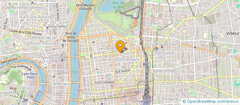 localisation de l'entreprise MADAME YVONNE BUTTIN  LYON