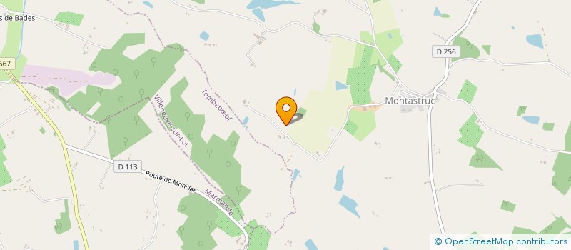 localisation de l'entreprise MADAME YVONNE CAPELLE  MONTASTRUC